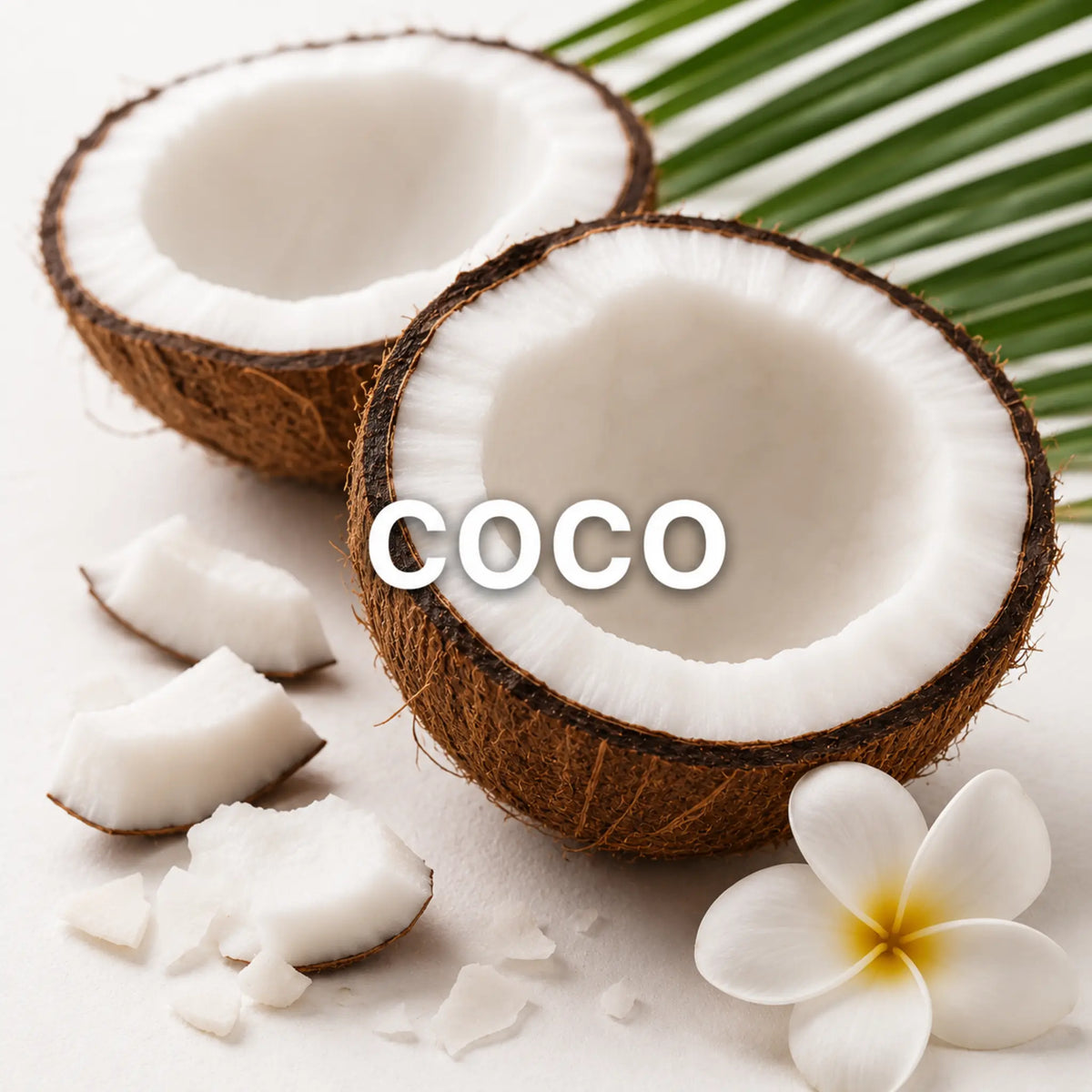 Perfumes árabes con coco