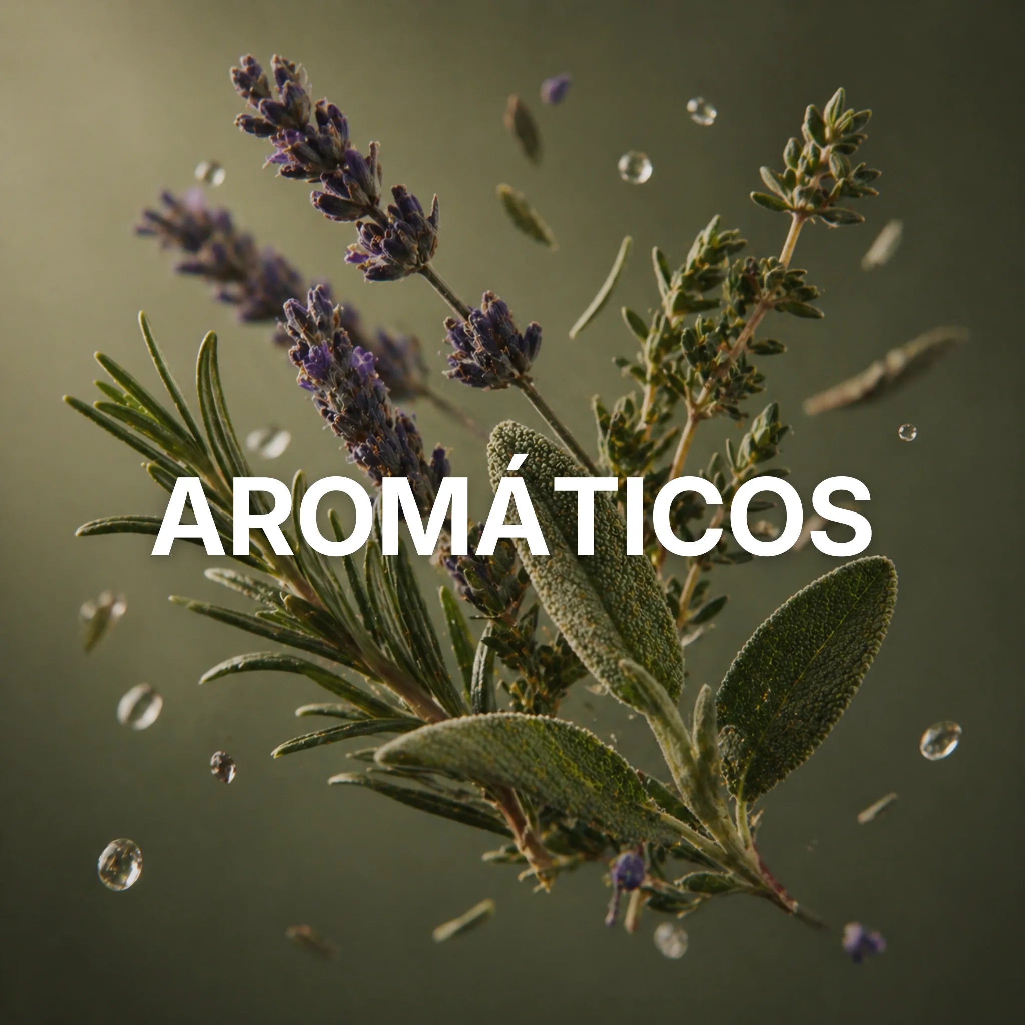 Perfumes árabes aromáticos