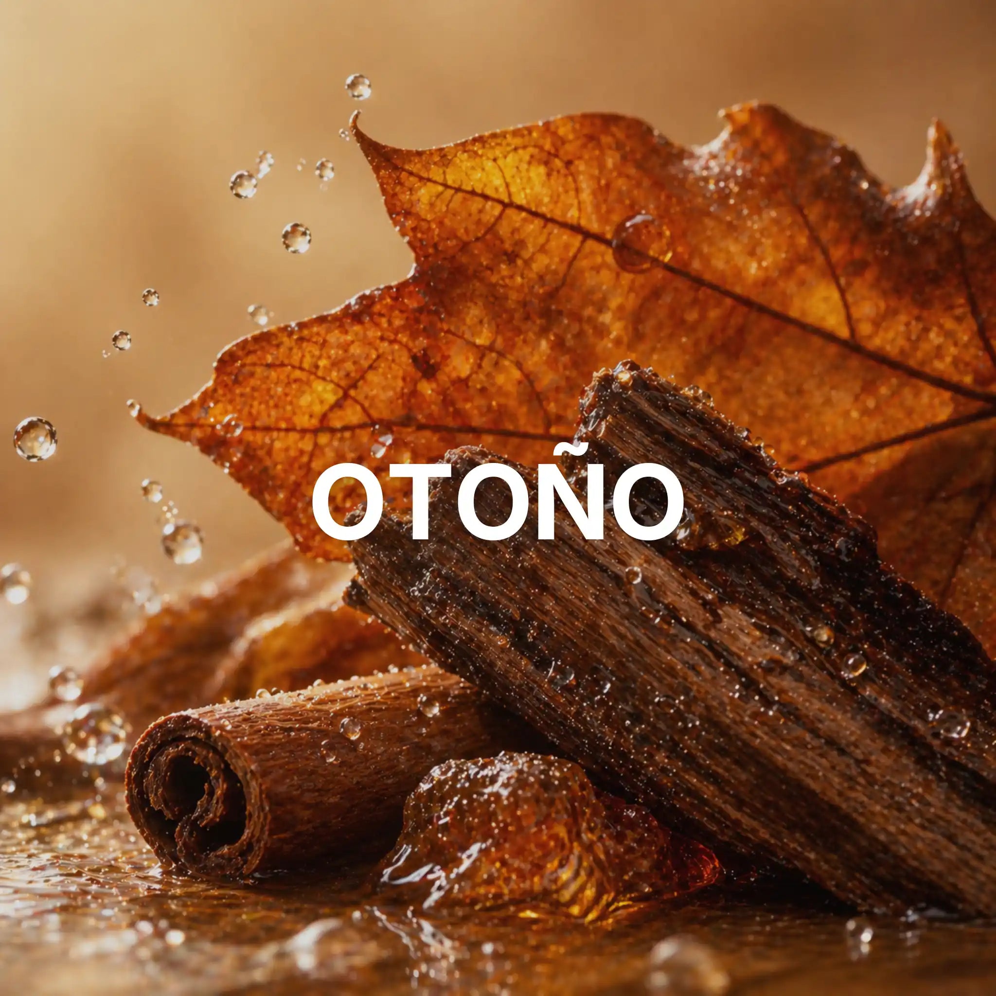 Perfumes árabes para otoño