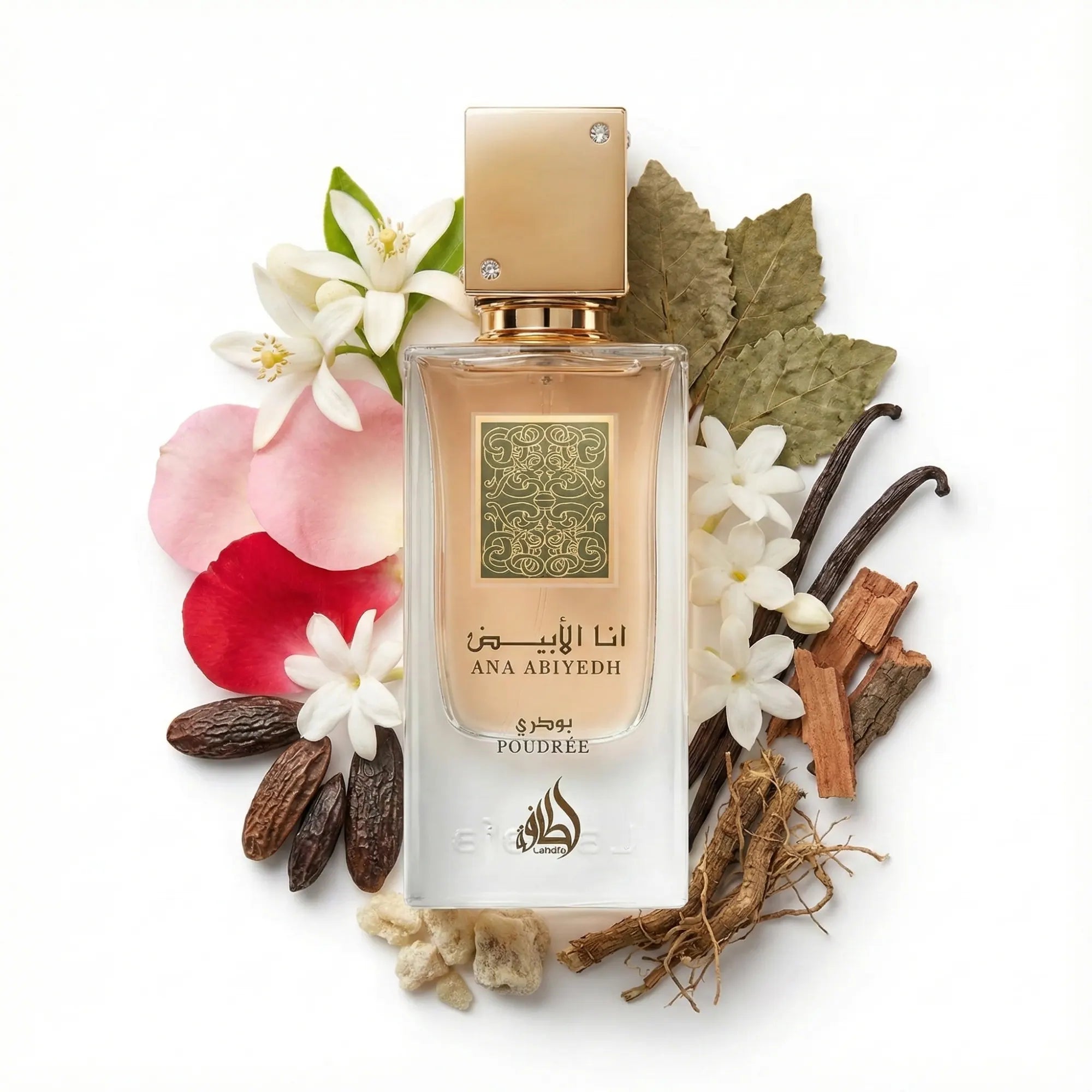 Ana Abiyedh Poudrée Lattafa Eau de Parfum Para Mujer con fondo de ingredientes