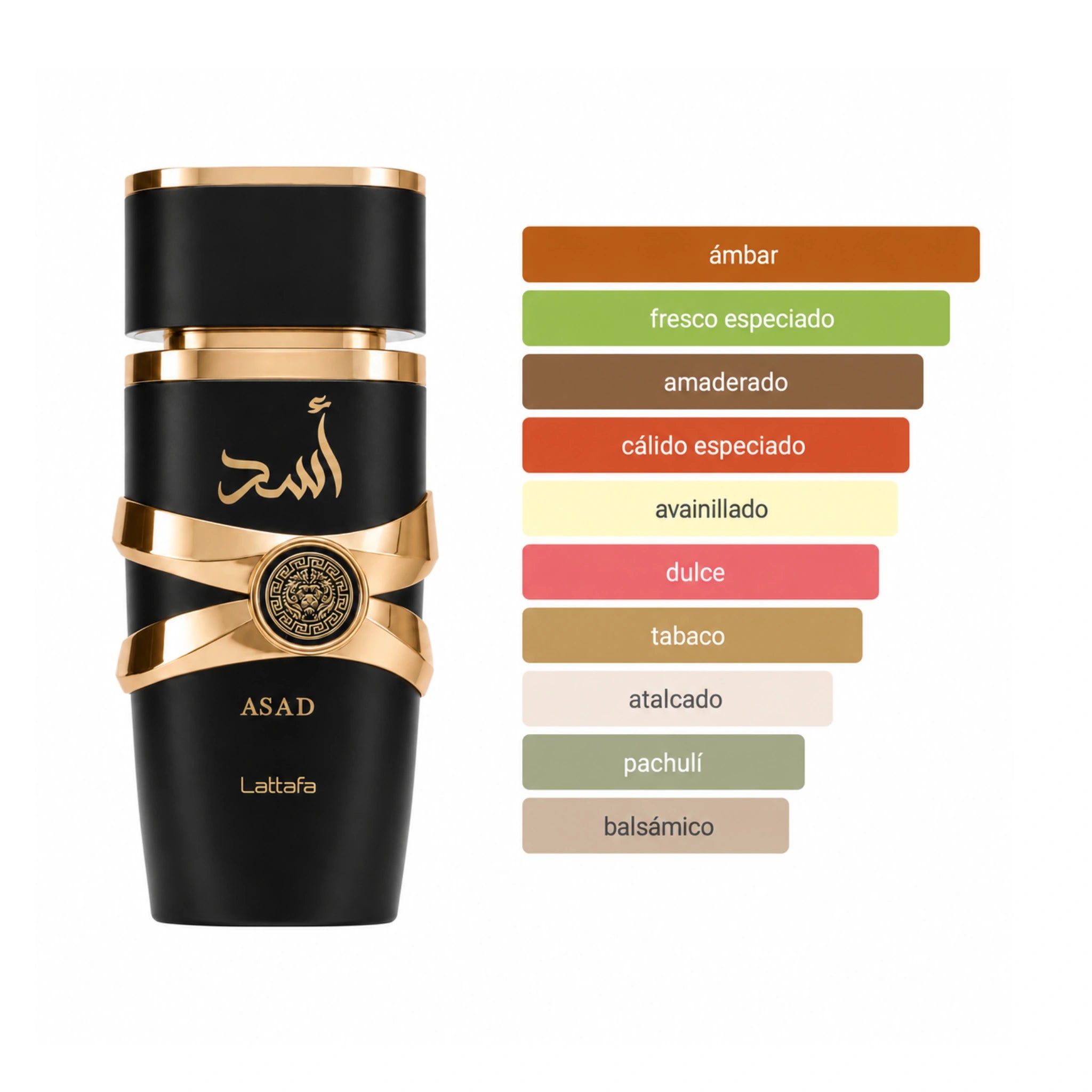 Perfil aromatico del perfume Asad Lattafa Eau de Parfum