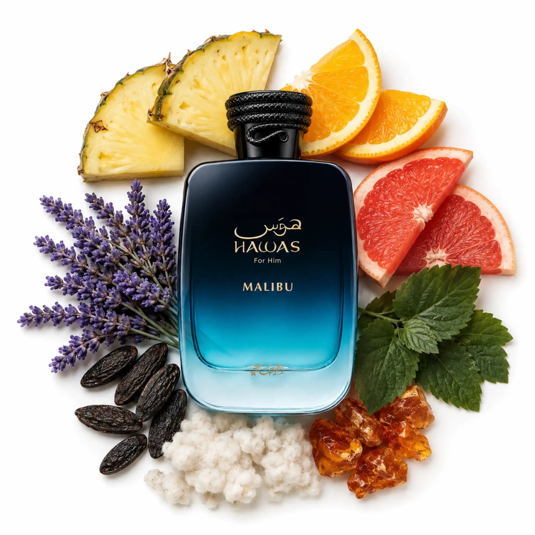 Ingredientes del perfume Hawas Malibu Rasasi Eau de Parfum