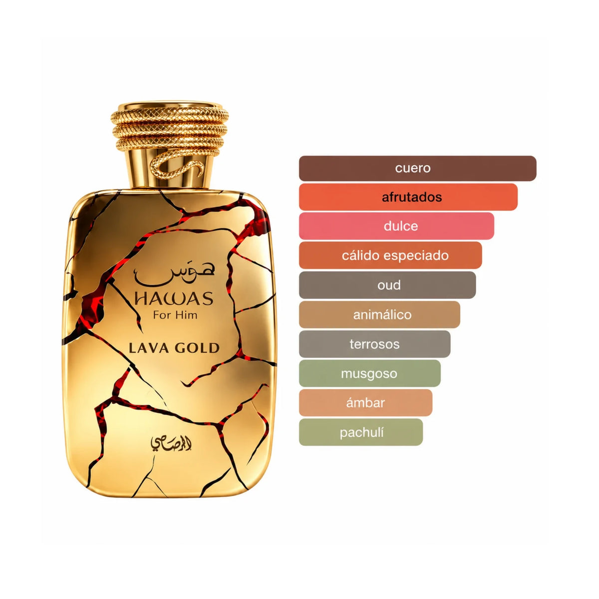 Hawas Lava Gold Rasasi con sus acordes principales