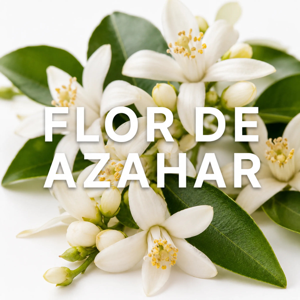 Perfumes árabes con flor de azahar