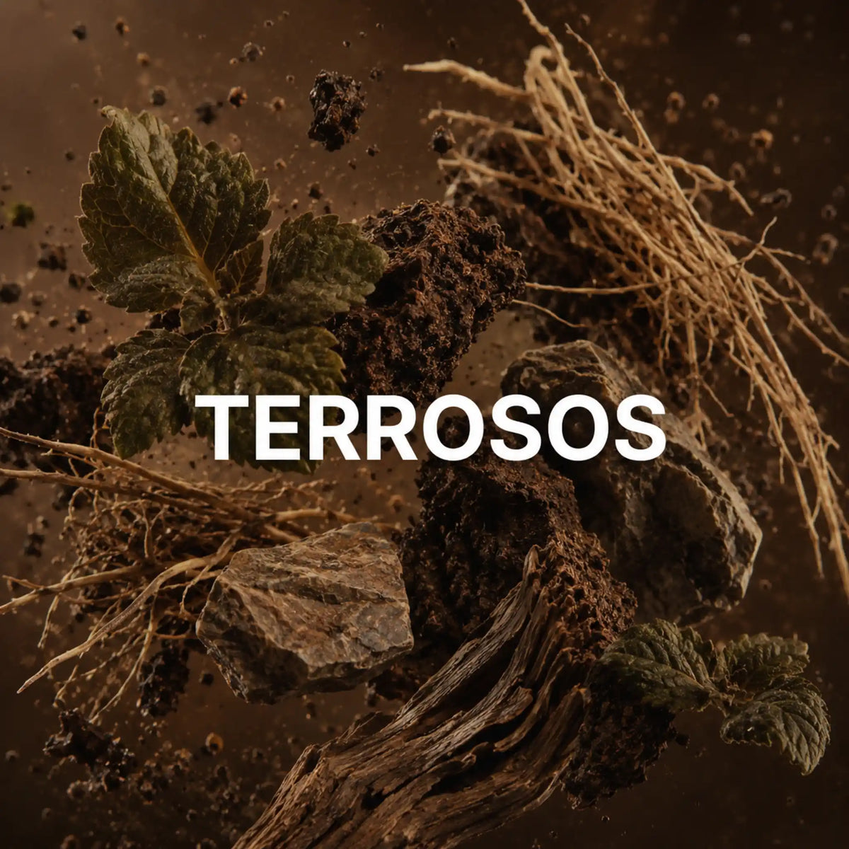 Perfumes árabes terrosos
