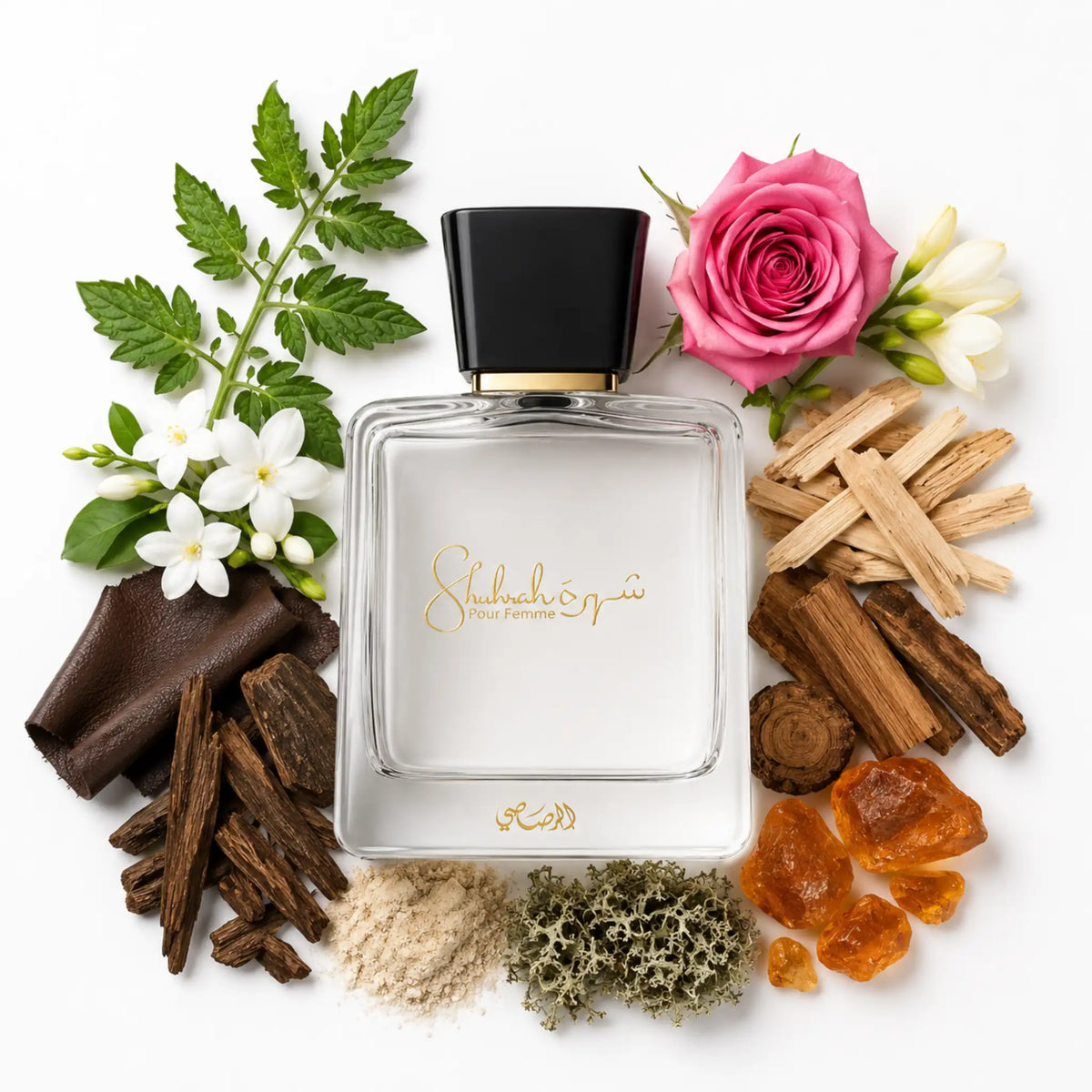 Shuhrah_Pour_Homme_Rasasi_Eau_de_Parfum_Para_Hombre_Fondo_Blanco_Rosa_Fresia